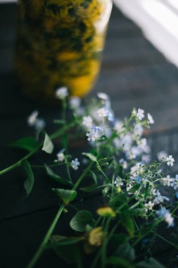 Siyah bir zemin üzerine mavi küçük çiçekler