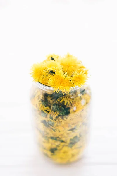 Dandelions beyaz bir arka plan üzerinde cam kavanozda