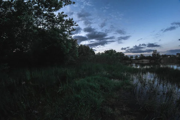 Paisaje nocturno de verano en el estanque — Foto de Stock