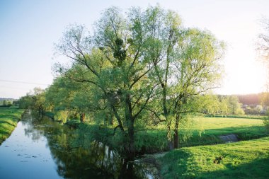 Güneşli manzara Nehri yakınında akşam bahar