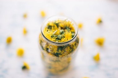 Dandelions beyaz bir arka plan üzerinde cam kavanozda