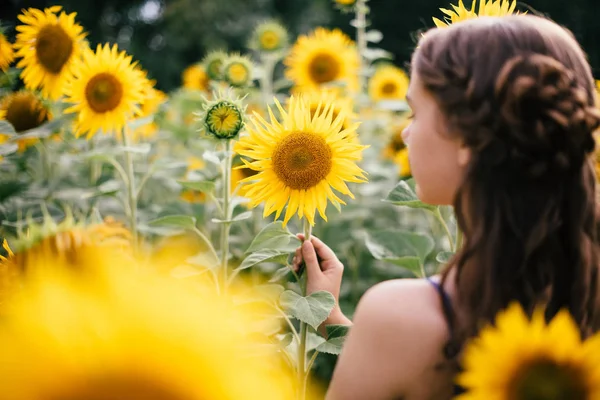 Hermosa Chica Posando Campo Con Girasoles —  Fotos de Stock