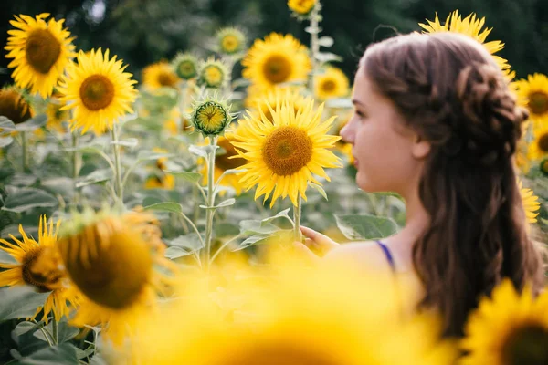 Bella Ragazza Posa Sul Campo Con Girasoli — Foto Stock