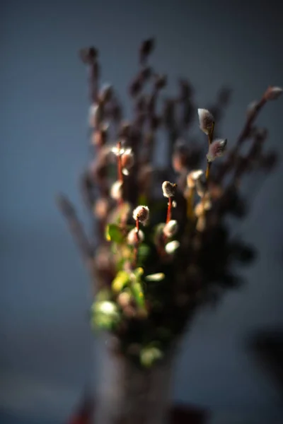 白い木製の背景にガラスの花瓶で本に小ぎれいなな枝 — ストック写真