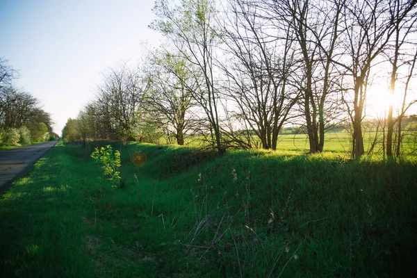 Primavera paisagem da noite no campo nos raios do sol da noite — Fotografia de Stock