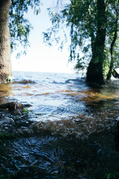 Paisaje de verano en un día soleado junto al río — Foto de Stock