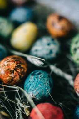 Bıldırcın yumurta saman üzerinde bir sepet içinde. Paskalya kavramı