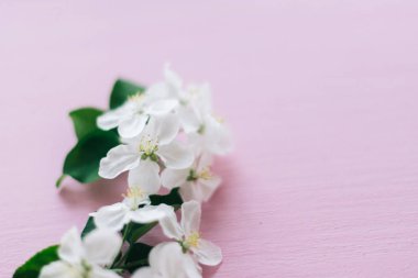 Pembe ahşap arka planda elma çiçekleri