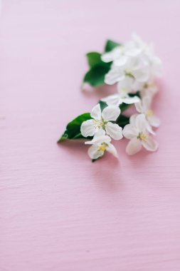 Pembe ahşap arka planda elma çiçekleri