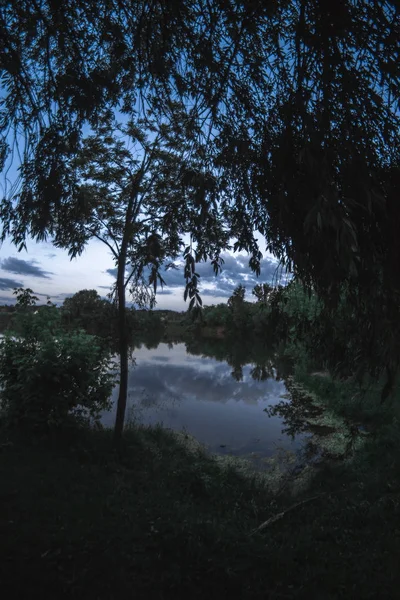 Letní večer na šířku na rybníku — Stock fotografie