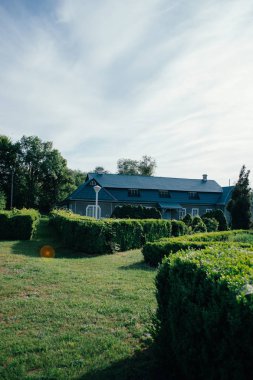 Güneşin akşam ışınları Bahar Ukrayna parkı