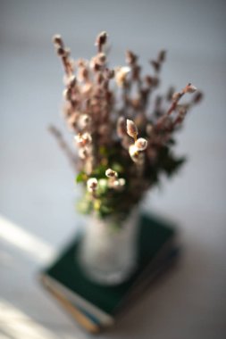 Beyaz ahşap zemin üzerinde bir cam vazo içinde sunulan Kitaplar'da çam dalları