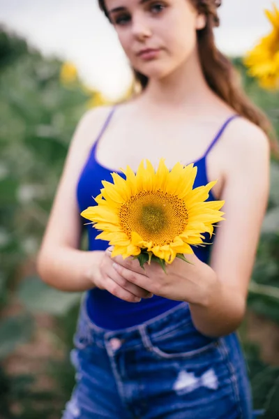 Красива дівчина на полі з соняшниками в коротких шортах і жилетом — стокове фото