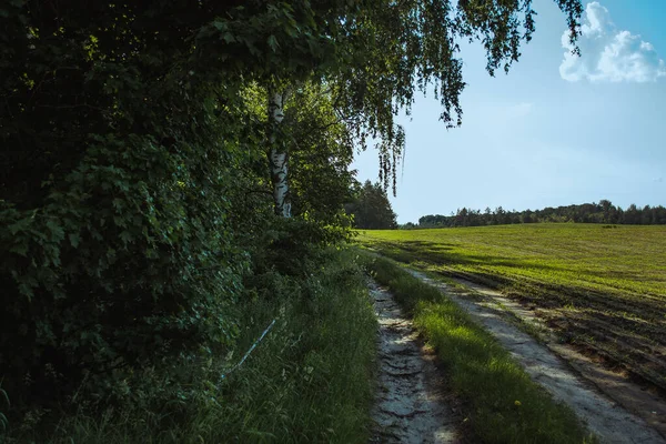 Şehrin dışındaki kırsal alanda yaz güneşli manzaralar.