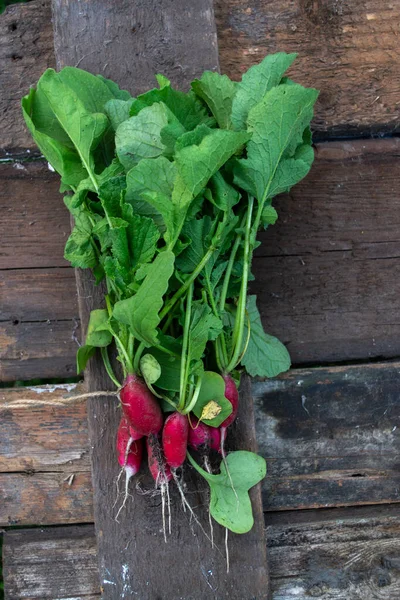 Rauw met een zomerhuis op een houten oude achtergrond. — Stockfoto