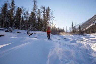 Güneşli kış günlerinde, sırt çantalı, karlı dağlarda yürüyüş yapan sıcak spor elbiseli bir gezgin. 