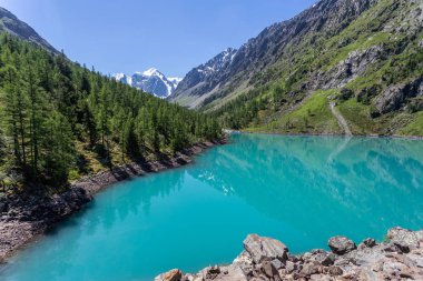 Mavi nehir manzarası ve Tien Shan dağlarının karlı tepeleri baharda güneşli bir günde. 
