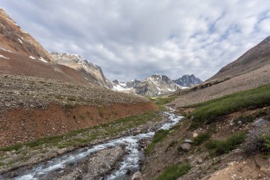 Güneşli baharda kayalık dağlarda akan hızlı dağ deresinin resimsel görüntüsü 
