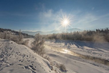 Soğuk dağ nehrinin güneşli kış günündeki manzarası. 