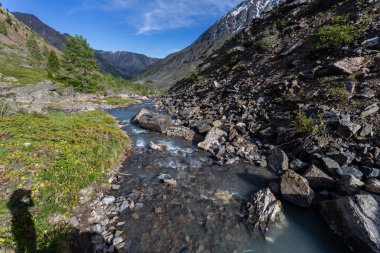 Güneşli baharda kayalık dağlarda akan hızlı dağ deresinin resimsel görüntüsü 