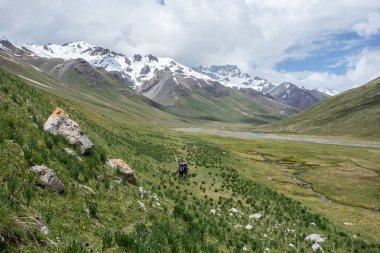 Mont blanc sıradağlarının