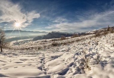 Güneşli bir günde sonsuz karlı dağların, kozalaklı ormanların manzarası. 