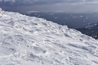Güneşli bir günde sonsuz kozalaklı ormanla karlı dağların manzarası.