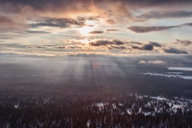 Güneşli bir günde sonsuz kozalaklı ormanla karlı dağların manzarası.