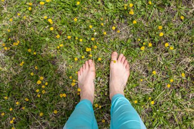 Bahar. Bahar mevsimi manzarası, çiçekler ve çimenler. Ayaklar çimlerin üzerinde
