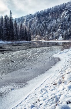 Güneşli kış gününde ormanın arasında akan soğuk dağ nehri manzarası. 