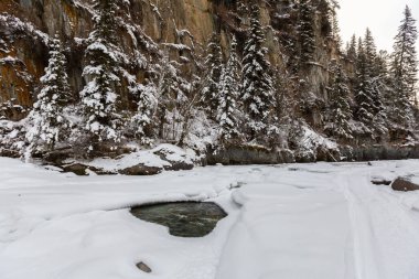 Kışın Bavyera manzarası - Avrupa Alpleri