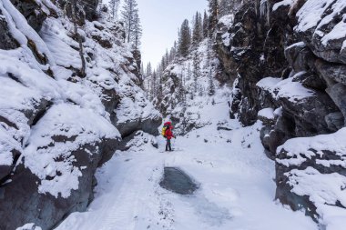 Güneşli kış günlerinde, sırt çantalı, karlı dağlarda yürüyüş yapan sıcak spor elbiseli bir gezgin. 