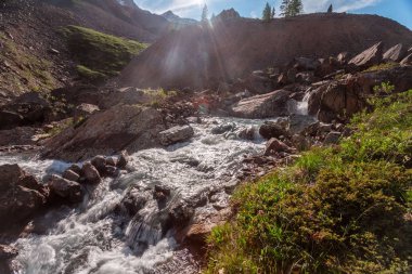 Güneşli baharda kayalık dağlarda akan hızlı dağ deresinin resimsel görüntüsü 