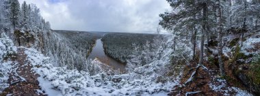 Kış ormanında karlı şelale