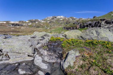 Vitosha Dağı 'nın manzarası. Sofya yakınlarında, Bulgaristan.