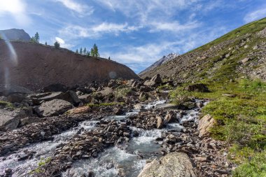 Güneşli baharda kayalık dağlarda akan hızlı dağ deresinin resimsel görüntüsü 