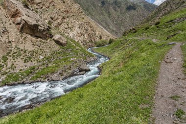 Güneşli bir günde dağların arasında akan nehrin resimsel görüntüsü  
