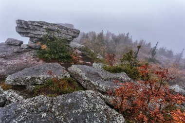 Ormanda ve kayalarda sonbahar. Sonbaharda açık hava eğlencesi
