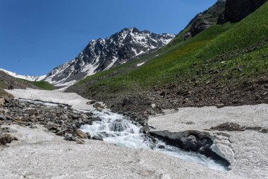 Güneşli baharda kayalık dağlarda akan hızlı dağ deresinin resimsel görüntüsü 