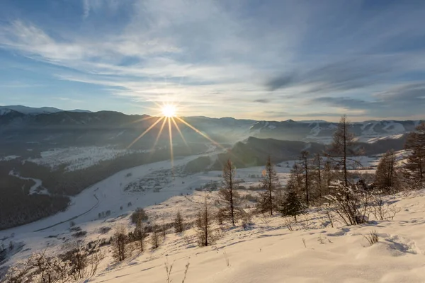 Malebný Pohled Nekonečné Zasněžené Hory Jehličnatým Lesem Slunečného Dne — Stock fotografie