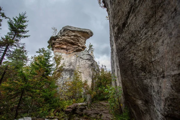 Осень Лесу Скалах Открытый Отдых Осенью — стоковое фото