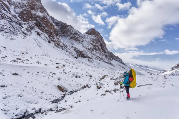 Altai 'de dağlarda yürüyüş yapan bir kız. Dağlarda yürüyüş konsepti 