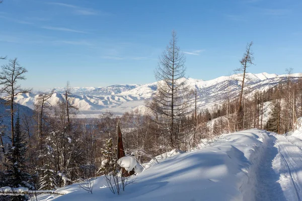 Winter Bergen Monte Rosa Massif Ayas Valley Italië — Stockfoto