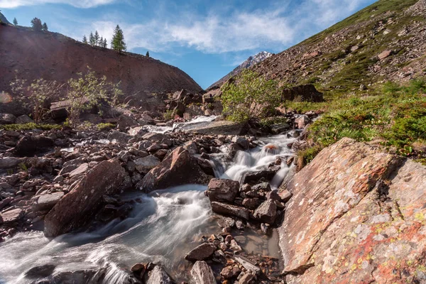 Güneşli baharda kayalık dağlarda akan hızlı dağ deresinin resimsel görüntüsü 