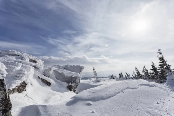 Schilderachtig Uitzicht Besneeuwde Bergen Met Eindeloos Naaldbos Zonnige Dag — Stockfoto