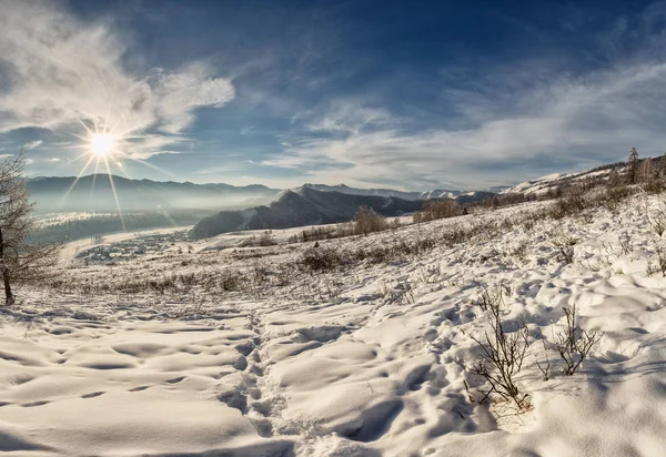 Güneşli bir günde sonsuz karlı dağların, kozalaklı ormanların manzarası. 