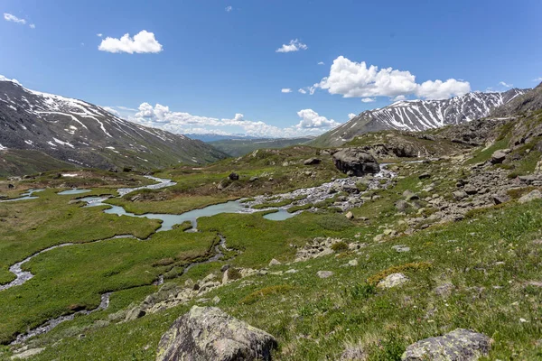 Βουνά Αλτάι Καλοκαίρι Λίμνες Σαβλίνσκι Πεζοπορία Στα Βουνά Και Στο — Φωτογραφία Αρχείου