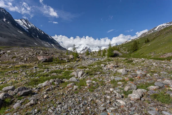 Sommar Kaukasus — Stockfoto