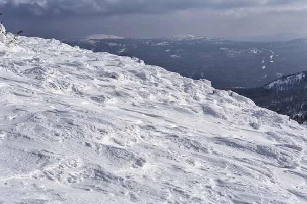 Güneşli bir günde sonsuz kozalaklı ormanla karlı dağların manzarası.