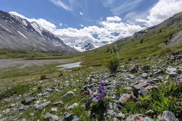 Extremurlaub Den Alpen Wandern Auf Bergwanderwegen — Stockfoto